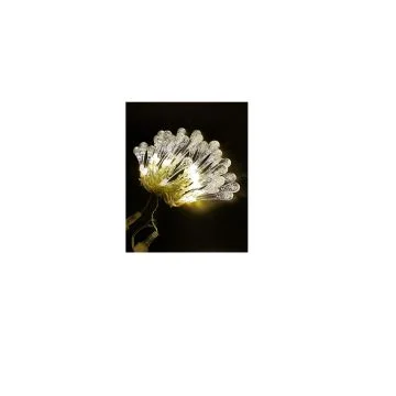 centropiazzolla2253439