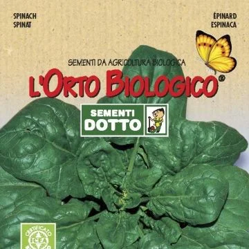 centropiazzolla2313167