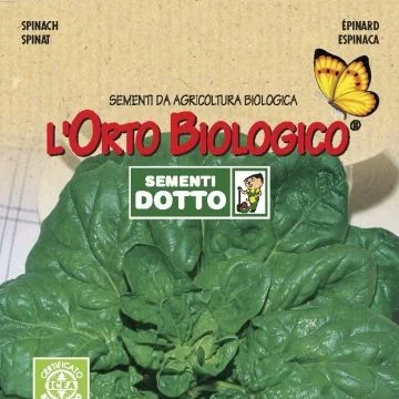 centropiazzolla2313266