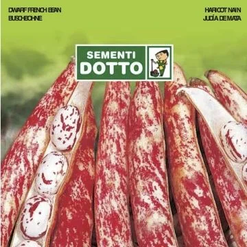 centropiazzolla2313393