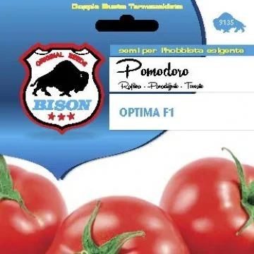 centropiazzolla2313433