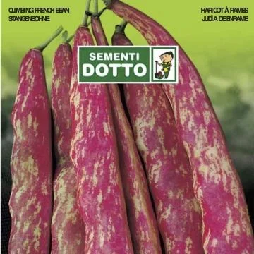 centropiazzolla2313471