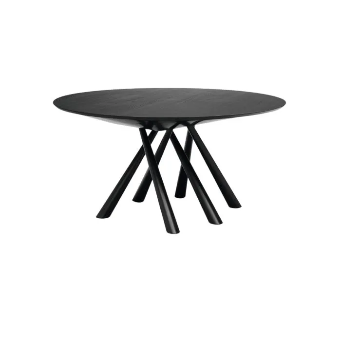 ciatdesign2295786