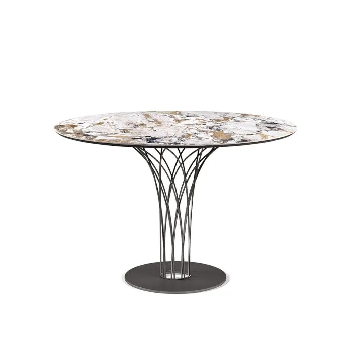 ciatdesign2327365