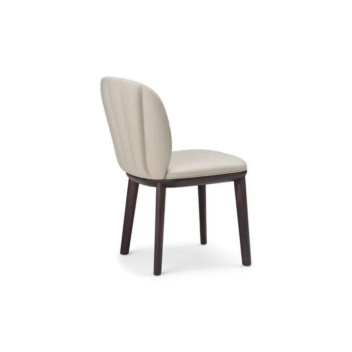 ciatdesign2328694
