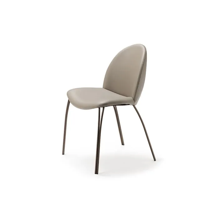 ciatdesign2328770