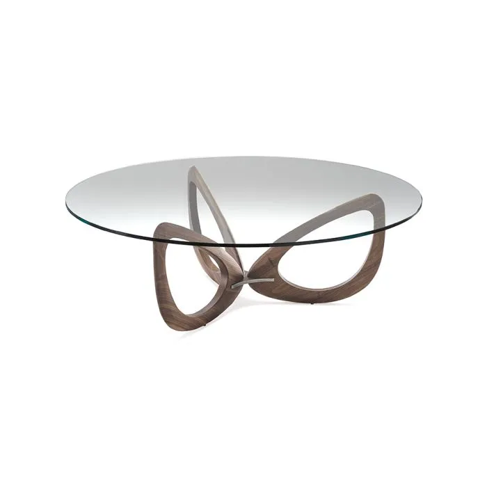 ciatdesign2331474