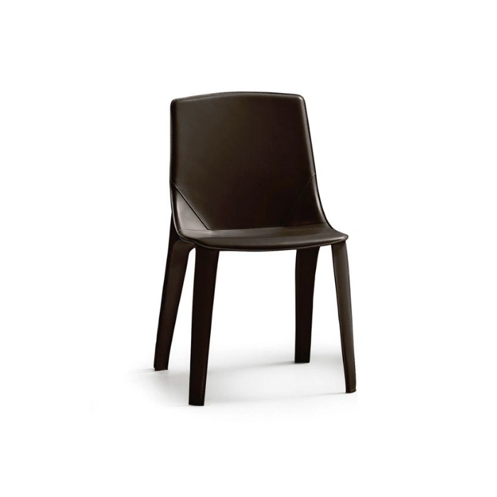 ciatdesign2337242