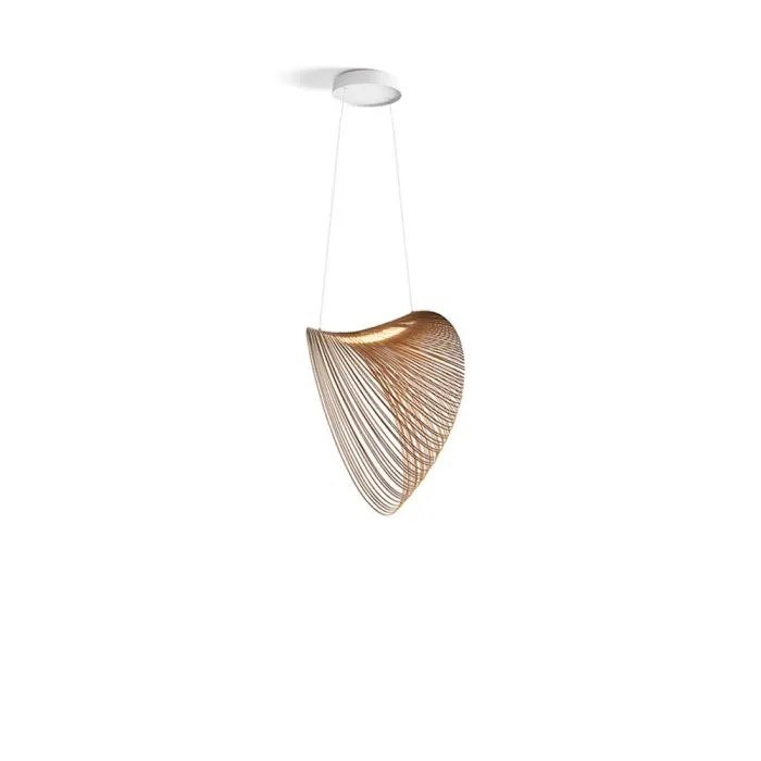 ciatdesign2371252