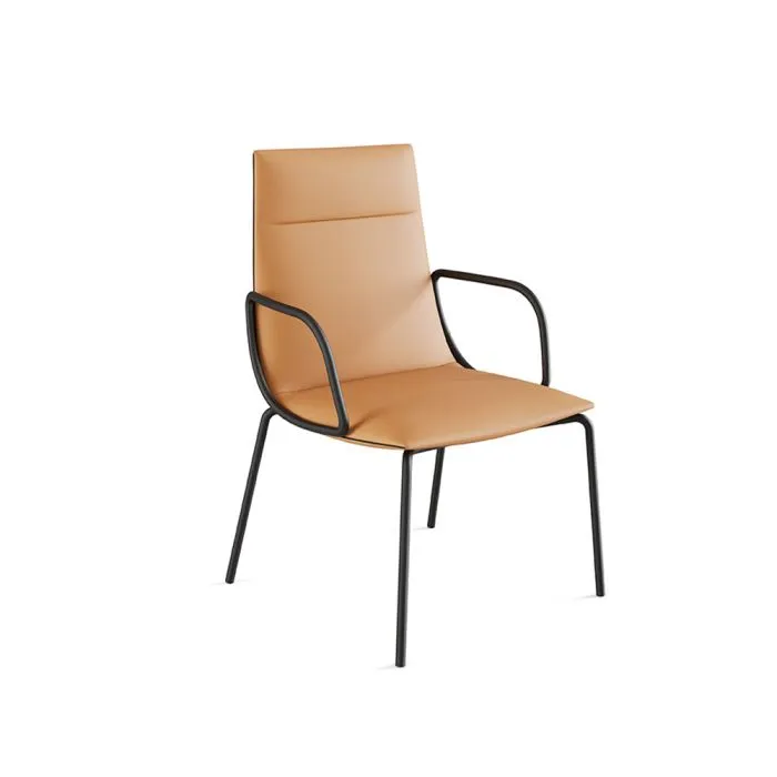 ciatdesign2387629