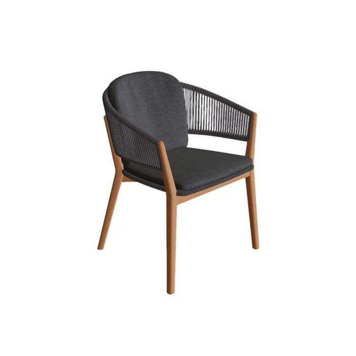 ciatdesign2388118