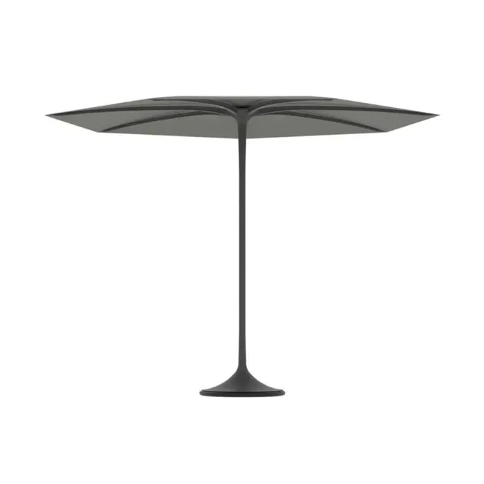 ciatdesign2388153
