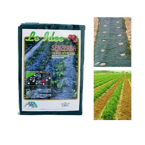 eacommerce2677772