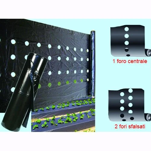 eacommerce2913609