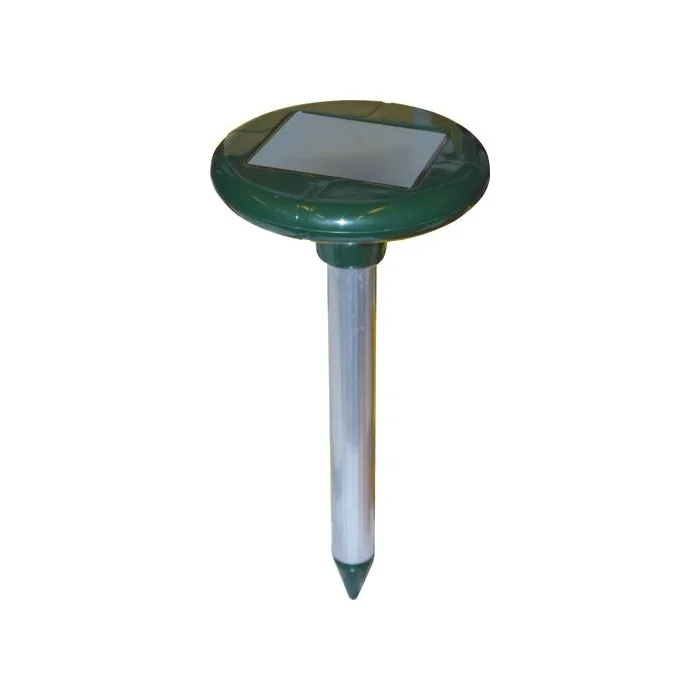 eacommerce2992049