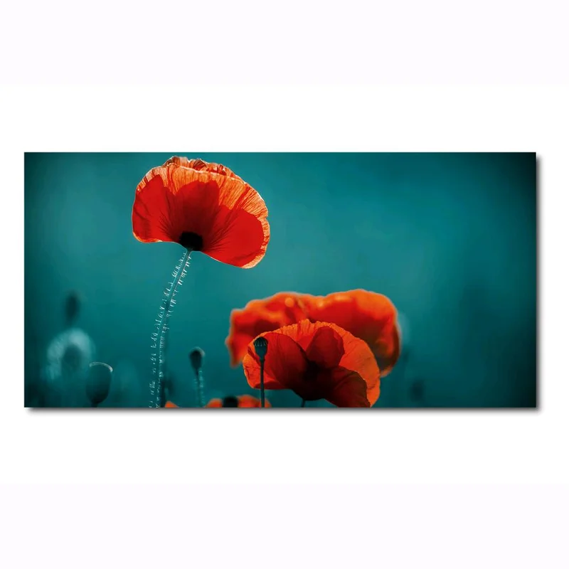 eacommerce3000948