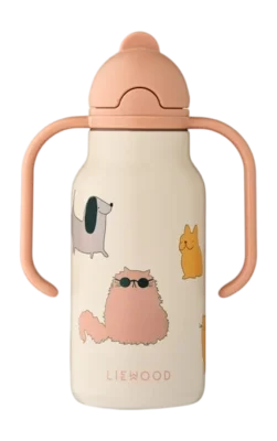 negoziocucina2608401